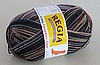 Regia Sock Yarn #4738