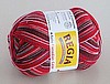 Regia Sock Yarn #4746
