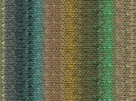 Noro Kochoran #71