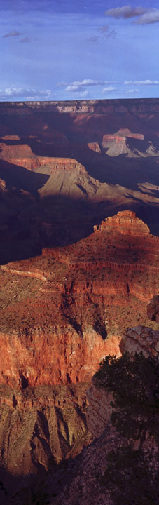Grand Canyon Vertical by L. Palenik